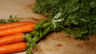 carrots_with_tops