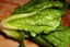 Jumbo Prawn Wok Recipe | Garnish | Romaine Lettuce