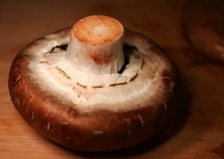 portabella_mushroom_closed