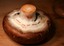 How to Pick a Portabella Mushroom | Veil Unbroken