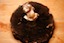 How to Pick a Portabella Mushroom | Flat Cap