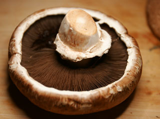 portabella_mushroom_open