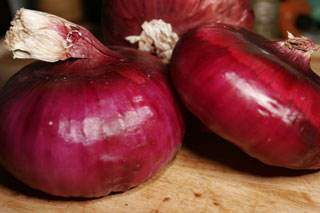 purple_onions_outer_skin_no